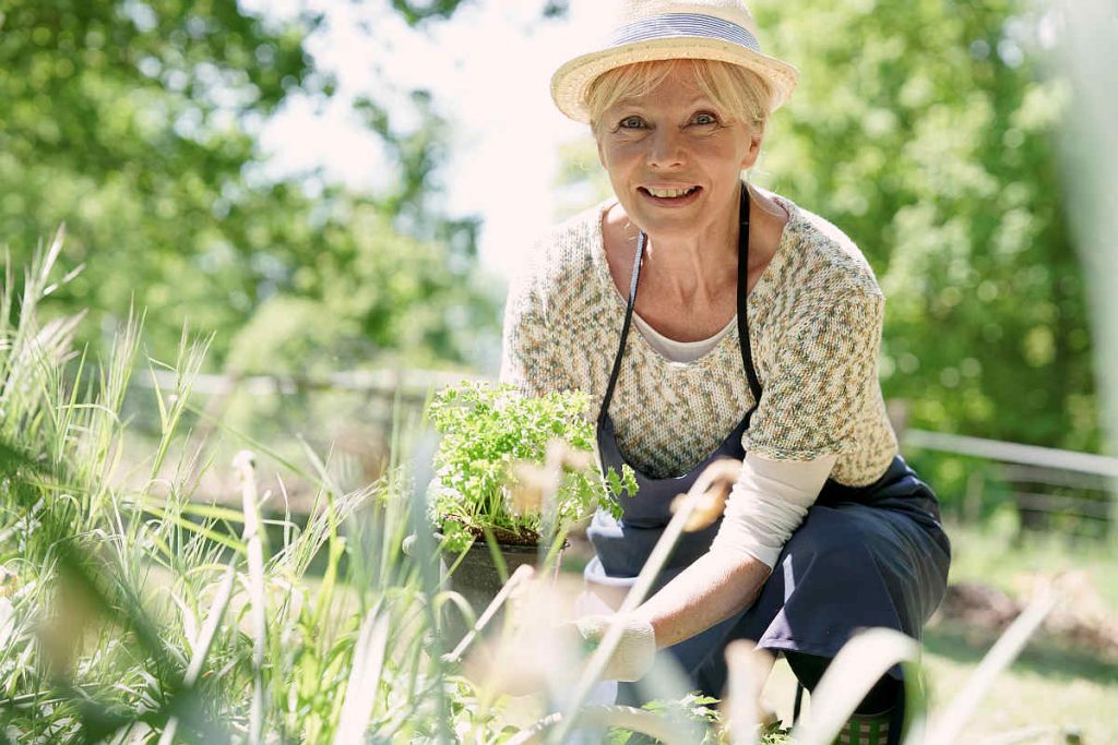 Why Do Plants Need Water? | The Basics Of Plant Food Production | Tyent USA