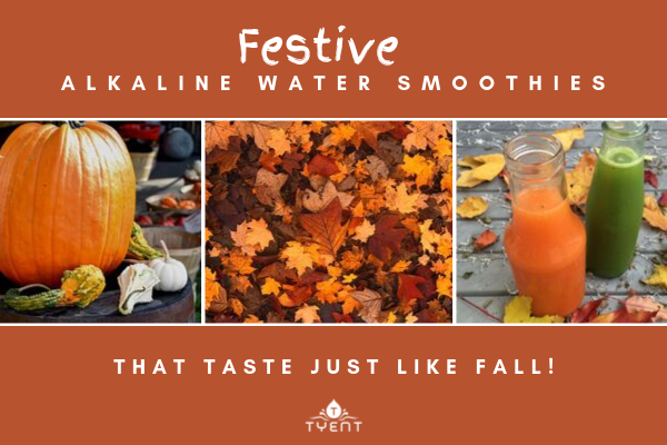 Festive Alkaline Water Ionizer Smoothies That Taste Just Like Fall!
