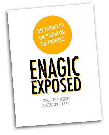 enagic payment system